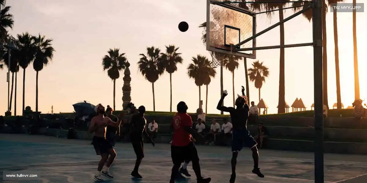 华体会官方🌟从菜鸟到强者,只差一次勇敢开始!体育首页,等你来征服~